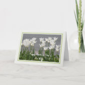 Moederdag Kaart voor Ex Wife Witte Tulpen (Voorkant)