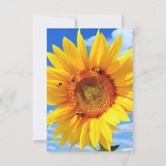 Moederdag Kaart Zonnebloem en bijen in de blauwe h (Achterkant)