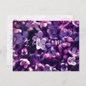 Moederdag Kaarten, Gift, Foto lila bloem, Feestdagenkaart (Voorkant / Achterkant)