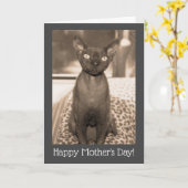 Moederdag kat kaart | Devon Rex vintage foto (Gele Bloem)