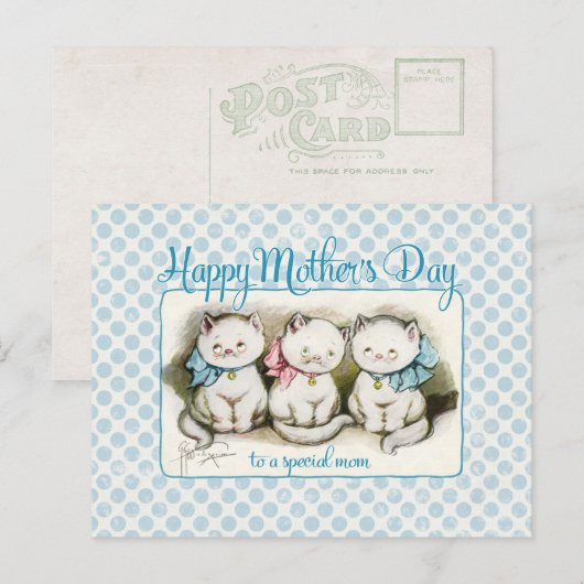 Moederdag Katten  voortplanting Briefkaart (Voorkant / Achterkant)