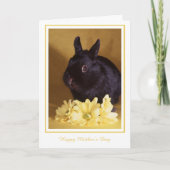 Moederdag - Konijntje en het Wenskaart van Kaart (Voorkant)