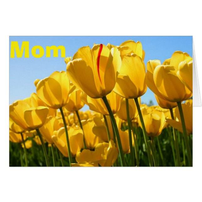 MOEDERDAG LIEFDE EN TULPEN OOK (Voorkant Horizontaal)