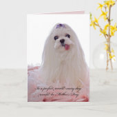 Moederdag Maltese hond Kaart (Gele Bloem)