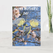 Moederdag met blauw-tit moeder en baby's feestdagen kaart (Voorkant)
