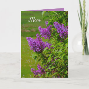 Moederdag, mooie bloemen, lippennen, kaart