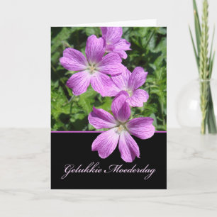 Moederdag, Mother's Day in Dutch, Violet Geraniums Kaart