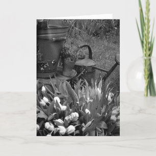 MOEDERDAG NAAR EEN SPECIALE WETGEVING IN UW LEVEN KAART