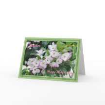 Moederdag Orchideeën