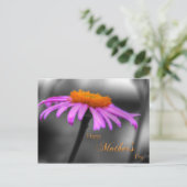 Moederdag Paarse en Oranje verklikstof Briefkaart (Staand voorkant)