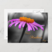 Moederdag Paarse en Oranje verklikstof Briefkaart (Voorkant / Achterkant)