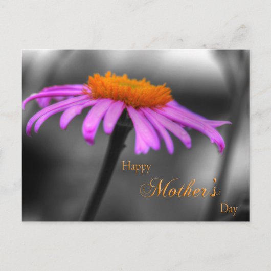 Moederdag Paarse en Oranje verklikstof Briefkaart (Voorkant)