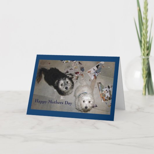 Moederdag puppykaart kaart (Voorkant)