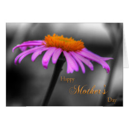 Moederdag Purperen en Oranje Echinacea