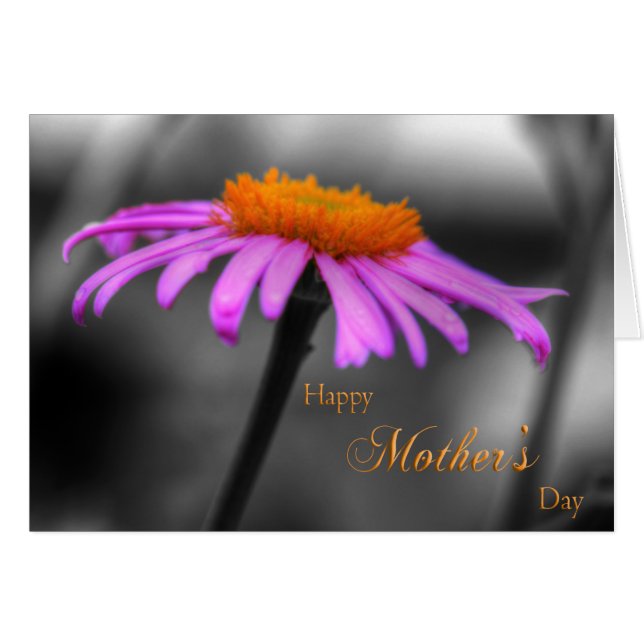 Moederdag Purperen en Oranje Echinacea (Voorkant Horizontaal)