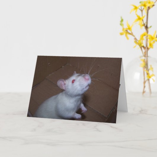 Moederdag Rat Kaart (Gele Bloem)