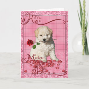 Moederdag - Red Rose - Bichon Frise Puppy Kaart