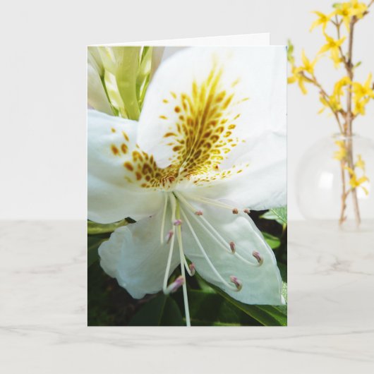 Moederdag Rhody Kaart (Gele Bloem)