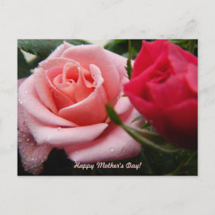 Moederdag Roze en rode roze Briefkaart