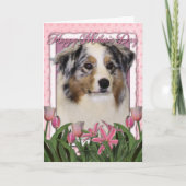 Moederdag - Roze Tulpen - Australische Herder Kaart (Voorkant)