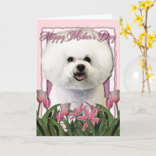 Moederdag - Roze Tulpen - Bichon Frise Kaart (Gele Bloem)