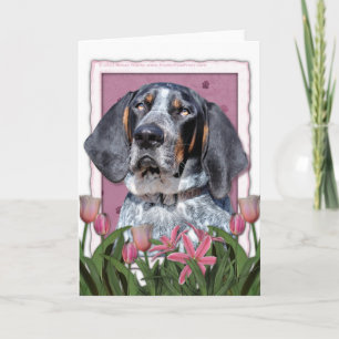 Moederdag - Roze Tulpen - Bluetick Coonhound Kaart