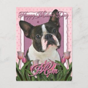 Moederdag - Roze Tulpen - Boston Terrier Briefkaart