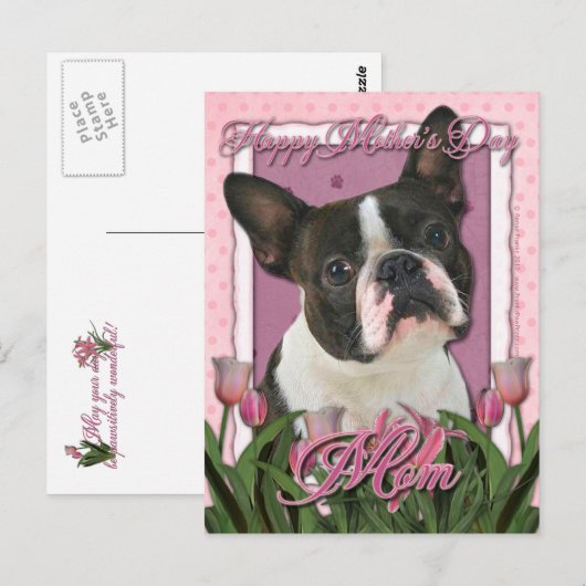Moederdag - Roze Tulpen - Boston Terrier Briefkaart (Voorkant / Achterkant)