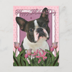 Moederdag - Roze Tulpen - Boston Terrier Briefkaart