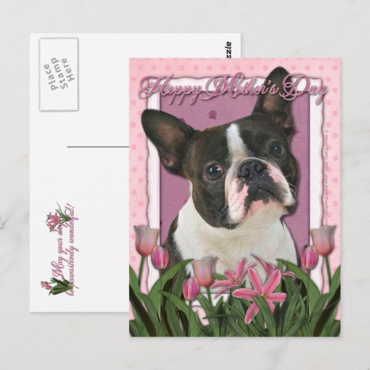 Moederdag - Roze Tulpen - Boston Terrier Briefkaart (Voorkant / Achterkant)