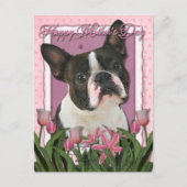 Moederdag - Roze Tulpen - Boston Terrier Briefkaart (Voorkant)