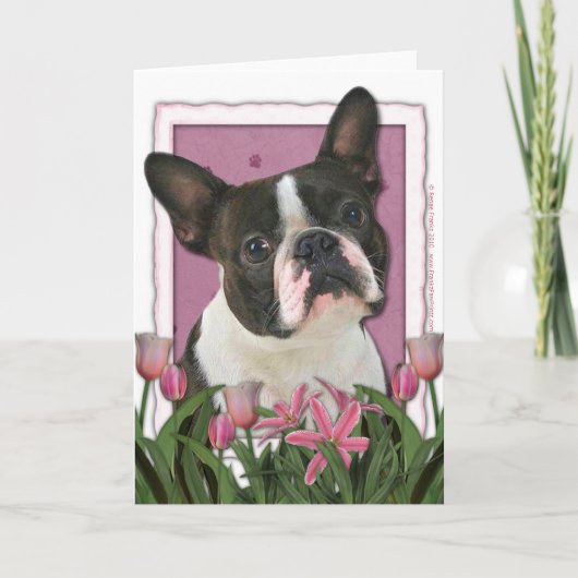 Moederdag - Roze Tulpen - Boston Terrier Kaart (Voorkant)