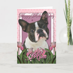 Moederdag - Roze Tulpen - Boston Terrier Kaart