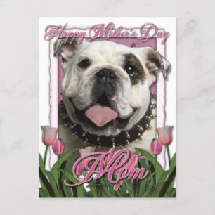 Moederdag - Roze Tulpen - Bulldog Briefkaart
