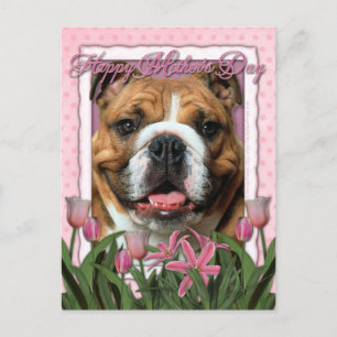 Moederdag - Roze Tulpen - Bulldog Briefkaart