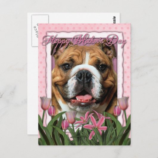 Moederdag - Roze Tulpen - Bulldog Briefkaart (Voorkant / Achterkant)