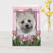 Moederdag - Roze Tulpen - Cairn - Teddybeer Kaart (Gele Bloem)