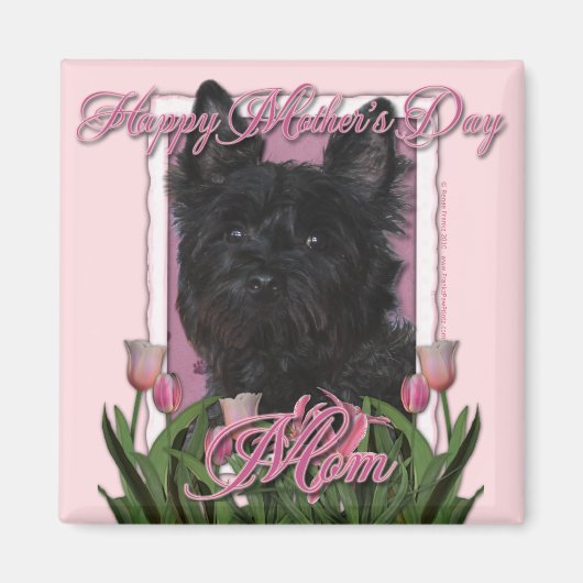 Moederdag - Roze Tulpen - Caïro Terrier - Rosco Magneet (Voorkant)