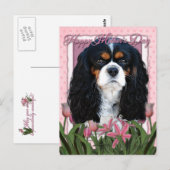 Moederdag - Roze Tulpen - Cavalier - Tri-Color Briefkaart (Voorkant / Achterkant)