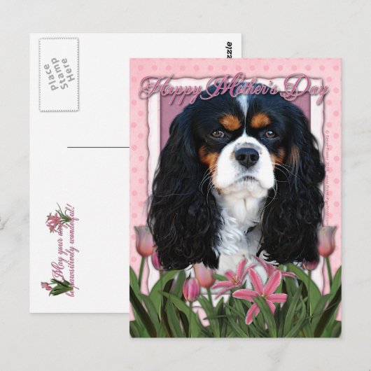 Moederdag - Roze Tulpen - Cavalier - Tri-Color Briefkaart (Voorkant / Achterkant)