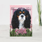 Moederdag - Roze Tulpen - Cavalier - Tri-Color Kaart (Voorkant)