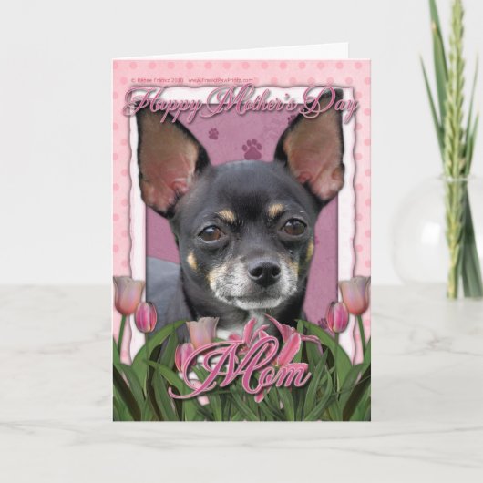 Moederdag - Roze Tulpen - Chihuahua - Isabella Kaart (Voorkant)