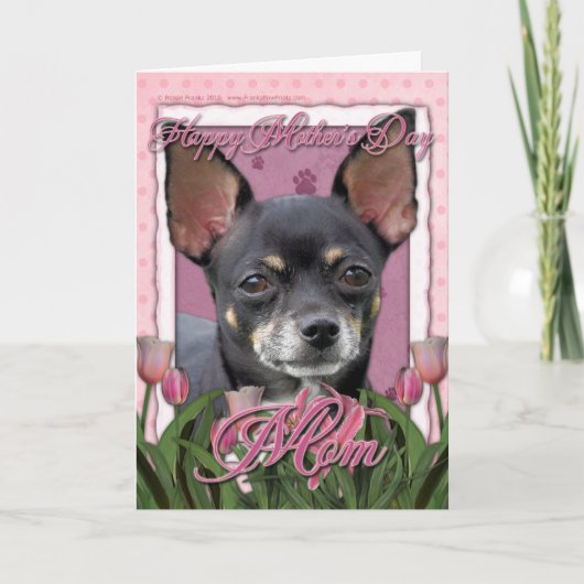 Moederdag - Roze Tulpen - Chihuahua - Isabella Kaart (Voorkant)