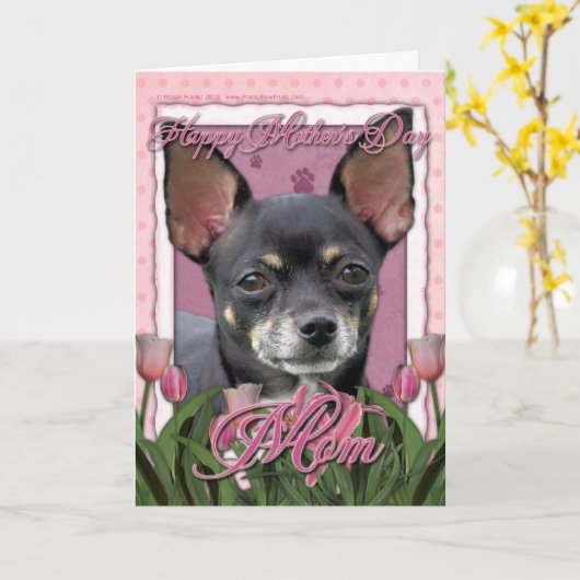 Moederdag - Roze Tulpen - Chihuahua - Isabella Kaart (Gele Bloem)