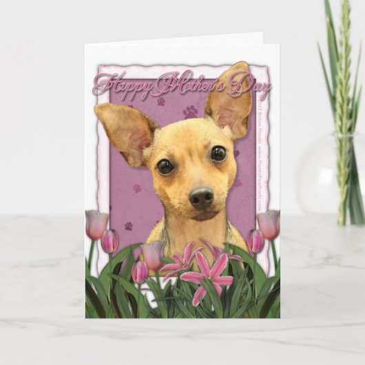 Moederdag - Roze Tulpen - Chihuahua Kaart (Voorkant)