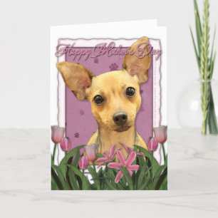 Moederdag - Roze Tulpen - Chihuahua Kaart