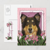 Moederdag - Roze Tulpen - Collie - Caroline Briefkaart (Voorkant / Achterkant)