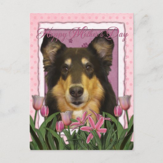Moederdag - Roze Tulpen - Collie - Caroline Briefkaart (Voorkant)