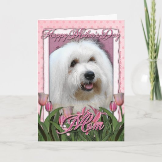 Moederdag - Roze Tulpen - Coton de Tulear Kaart (Voorkant)