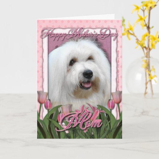 Moederdag - Roze Tulpen - Coton de Tulear Kaart (Gele Bloem)